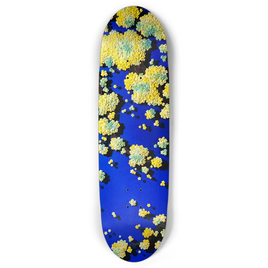 Ran Hwang Skate Deck