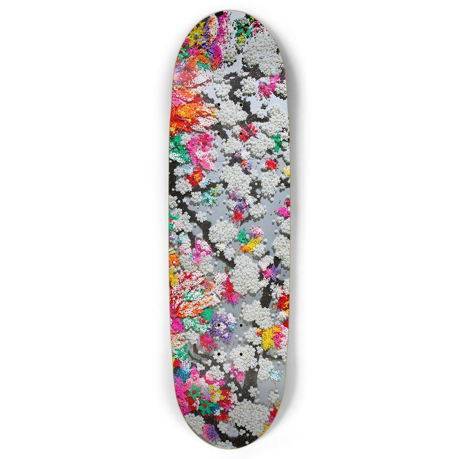 Ran Hwang Skate Deck